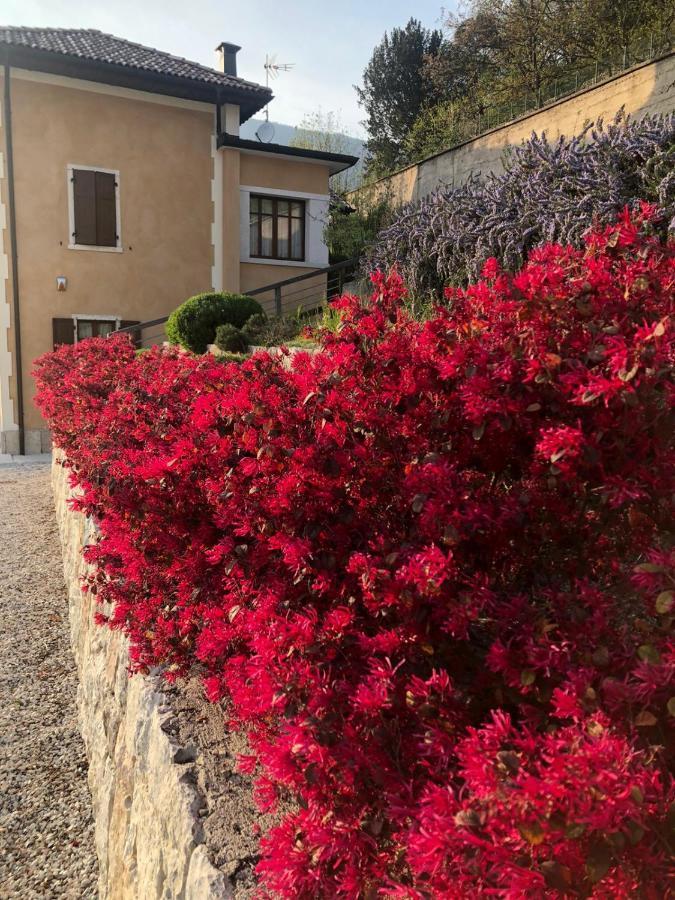La Villa Degli Orti Borgo Valsugana ภายนอก รูปภาพ